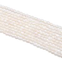 Rice Gekweekte Zoetwater Parel kralen, DIY, wit, 2-2.5mm, Per verkocht 14.96 inch Strand