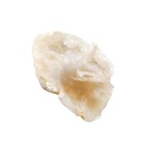 Clear Quartz Ορυκτά Δείγμα, Ακανόνιστη, druzy στυλ & διαφορετικά στυλ συσκευασίας για την επιλογή, λευκό, 35-45mm, Sold Με Box