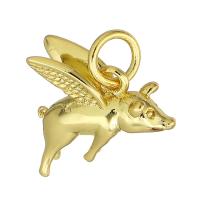 Mässing Smycken Hängen, Pig, guldfärg pläterade, 14x12x7mm, Hål:Ca 3mm, Säljs av PC