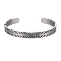 Titanium Čelik Pljuska Bangle, pozlaćen, modni nakit, više boja za izbor, 62x8mm, Prodano By PC