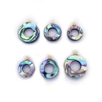 Natuurlijke Abalone Shell Hangers, Abalone Schelp, met Messing, Donut, gold plated, DIY & verschillende grootte voor keus, 13-18mm, Verkocht door PC