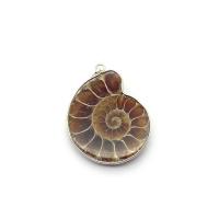 Trompette naturelle Shell pendentifs, coquille de trompette, avec alliage de zinc, escargot, couleurs mélangées, 20x40-30x40mm, Vendu par PC