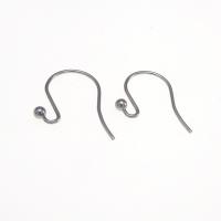 Háček z nerezové oceli Earwire, 316L nerezové oceli, Původní barva, 19mm, Prodáno By Pair