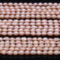 Rice Gekweekte Zoetwater Parel kralen, verschillende kwaliteiten voor de keuze & DIY, roze, 4-5mm, Ca 54pC's/Strand, Verkocht door Strand