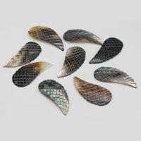 Μενταγιόν Shell, Κέλυφος, Wing Shape, Σκαλιστή, για άνδρες και γυναίκες, περισσότερα χρώματα για την επιλογή, 24x52mm, Sold Με PC