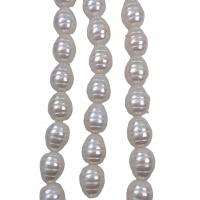 Shell Pearl Üveggyöngy, Könnycsepp, galvanizált, DIY, fehér, 13x17mm, Naponta eladott Kb 15 inch Strand