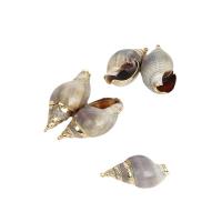 Tromba naturale Shell pendenti, conchiglia, with ottone, placcato color oro, unisex, nessuno, 20-40mm, Appross. 100PC/borsa, Venduto da borsa