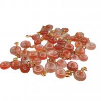 Yanyuan Agate. Hanger, met Zinc Alloy, rood, 10-25mm, Verkocht door PC