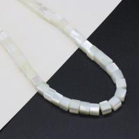 Természetes Édesvízi Shell gyöngyök, Héj, Square, DIY, fehér, 6mm, Naponta eladott Kb 38 cm Strand