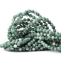 Tree Agate Χάντρες, Γύρος, DIY & διαφορετικό μέγεθος για την επιλογή, πράσινος, νικέλιο, μόλυβδο και κάδμιο ελεύθεροι, Sold Με Strand