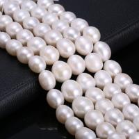 Kartoffel ferskvandskulturperle Beads, Ferskvandsperle, du kan DIY, hvid, 11-12mm, Solgt Per Ca. 38 cm Strand