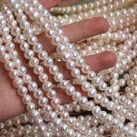 Kulaté kultivované sladkovodní perle, Sladkovodní Pearl, DIY, bílý, 7mm, 55PC/Strand, Prodáno za 37 cm Strand