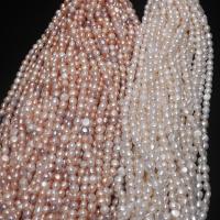 Tlačítko kultivované sladkovodní Pearl Beads, Kolo, DIY, více barev na výběr, 8-9mm, Prodáno za 14.96 inch Strand