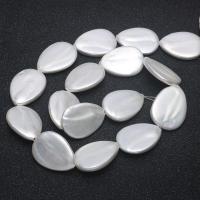 Natural White Shell Kralen, Schelp, Traan, DIY, wit, 18x25mm, Per verkocht 15.75 inch Strand