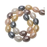 South Sea Shell Kralen, Schelp, Keishi, DIY, meer kleuren voor de keuze, 13x16mm, Per verkocht 15.75 inch Strand