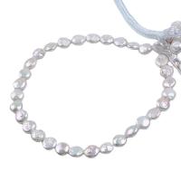 Mince kultivované sladkovodní perle, Sladkovodní Pearl, Flat Round, DIY, bílý, 11-12mm, Prodáno za 14.96 inch Strand