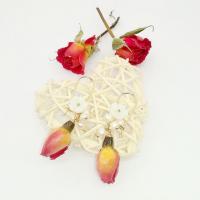 Messing oorhangers, met Schelp & Hars & Plastic Pearl, mode sieraden & verschillende stijlen voor de keuze & voor vrouw, nikkel, lood en cadmium vrij, 15x25mm, Verkocht door pair