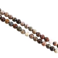 Petrified Woods Bead, Runde, poleret, du kan DIY & forskellig størrelse for valg, Solgt Per Ca. 38 cm Strand