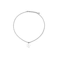 Acier titane collier, vernis au four, pour femme, argent, Longueur Environ 45 cm, Vendu par PC