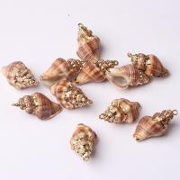 Tromba naturale Shell pendenti, conchiglia, with lega in zinco, colori misti, 5-40mm, Venduto da PC