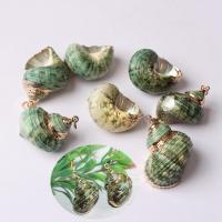 Tromba naturale Shell pendenti, conchiglia, with lega in zinco, verde, 5-40mm, Venduto da PC