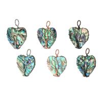 Naturlig Abalone Shell Pendler, Messing, med Abalone Shell, Heart, mode smykker & du kan DIY, flerfarvede, 31x40x8mm, Hole:Ca. 7mm, 5pc'er/Lot, Solgt af Lot