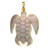 Muschel Anhänger, Messing, mit Muschel, Schildkröter, goldfarben plattiert, Modeschmuck & DIY, 50x49x3mm, Bohrung:ca. 4mm, 5PCs/Menge, verkauft von Menge