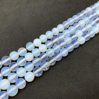 Sea opal perler, Runde, du kan DIY & forskellig størrelse for valg, klar, Solgt Per Ca. 14.96 inch Strand