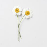 Kunstig blomst Home Decoration, Tørret blomst, du kan DIY, 25-40mm, 12pc'er/Bag, Solgt af Bag