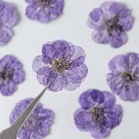 造り花飾り, ドライフラワー, 梅の花, DIY, 無色, 25-30mm, 12パソコン/バッグ, 売り手 バッグ