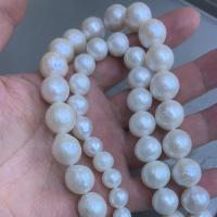 Kulaté kultivované sladkovodní perle, Sladkovodní Pearl, různé velikosti pro výběr, Otvor:Cca 0.8mm, Prodáno za Cca 15 inch Strand