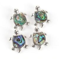 Natuurlijke Abalone Shell Hangers, Abalone Schelp, met Zinc Alloy, Zeeschildpad, gemengde kleuren, 27x24x4mm, Verkocht door PC