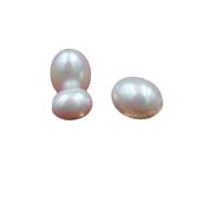 Shell Pearl Bead, du kan DIY, hvid, 8x11mm, Solgt af PC