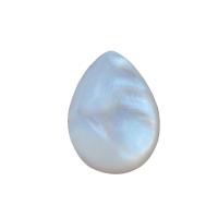 Shell Cabochons Natural Seashell Teardrop polished DIY  Sold By Lot