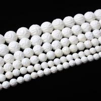 Přírodní korálky White Shell, Vytesaný, DIY, bílý, Prodáno za Cca 38 cm Strand