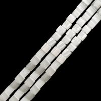 Natuurlijke zoetwaterschelp kralen, Schelp, Kubus, DIY, gemengde kleuren, 4-6mm, Per verkocht 39 cm Strand