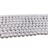 Runde ferskvandskulturperle Beads, Plastic Pearl, forskellig størrelse for valg, hvid, Solgt Per Ca. 15.7 inch Strand