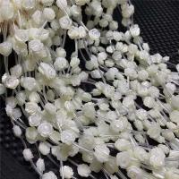 Pearl Shell Bead, Rose, du kan DIY, hvid, Solgt Per Ca. 38 cm Strand