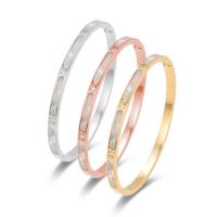 Titanium Staal Bangle, voor vrouw & met strass, meer kleuren voor de keuze, 60x50mm, Lengte 17 cm, Verkocht door PC