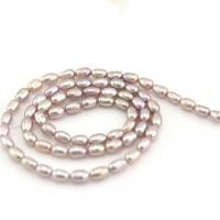 Rýže kultivované sladkovodní perle, Sladkovodní Pearl, přírodní, DIY, více barev na výběr, 3-4mm, Prodáno za Cca 14.96 inch Strand