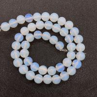 Sea Opal Gyöngyök, Kerek, DIY & különböző méretű a választás, fehér, Naponta eladott Kb 14.96 inch Strand