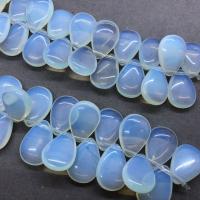 Zee Opaal Kralen, Sea Opal, Traan, gepolijst, DIY, wit, 10x12mm, Ca 28pC's/Strand, Per verkocht Ca 17 cm Strand