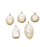 Natural White Shell Pendler, Messing, med White Shell, guldfarve belagt, du kan DIY & forskellige stilarter for valg, flere farver til valg, nikkel, bly & cadmium fri, 10pc'er/Lot, Solgt af Lot