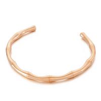 Titanium Staal Manchet Bangle, voor vrouw, meer kleuren voor de keuze, 64x5mm, Verkocht door PC