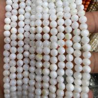 Natuurlijke zoetwaterschelp kralen, Freshwater Shell, Ronde, DIY, wit, Per verkocht Ca 40 cm Strand