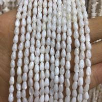 Natuurlijke zoetwaterschelp kralen, Freshwater Shell, Traan, DIY, wit, Per verkocht Ca 39 cm Strand