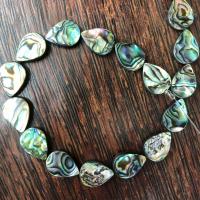 Χάντρες Shell Abalone, Abalone Shell, Teardrop, DIY, μικτά χρώματα, Sold Per Περίπου 38 cm Strand