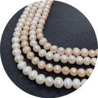 Cultured Round Freshwater Pearl Beads polished DIY Sold Per Approx 14.96 Inch Strand