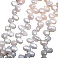 Barock odlad sötvattenspärla pärlor, Freshwater Pearl, DIY, vit, 8-9mm, Såld Per 38-40 cm Strand