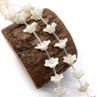 Natural White Shell Beads Flower DIY white Sold By PC